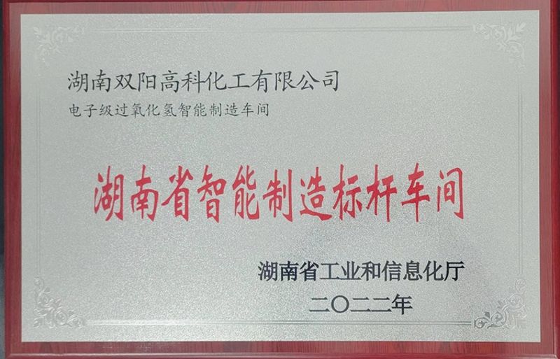 雙陽(yáng)高科智能制造獲評(píng)省級(jí)“標(biāo)桿”